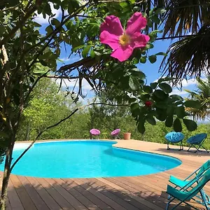 Vakantiehuis Le Triangle D'or, Gaillac